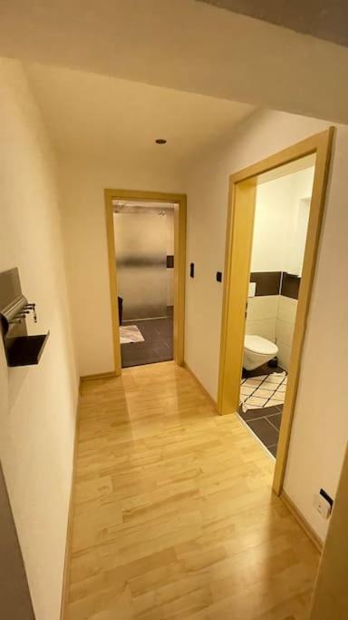 Shine Apartment シュヴァルツェンフェルト エクステリア 写真